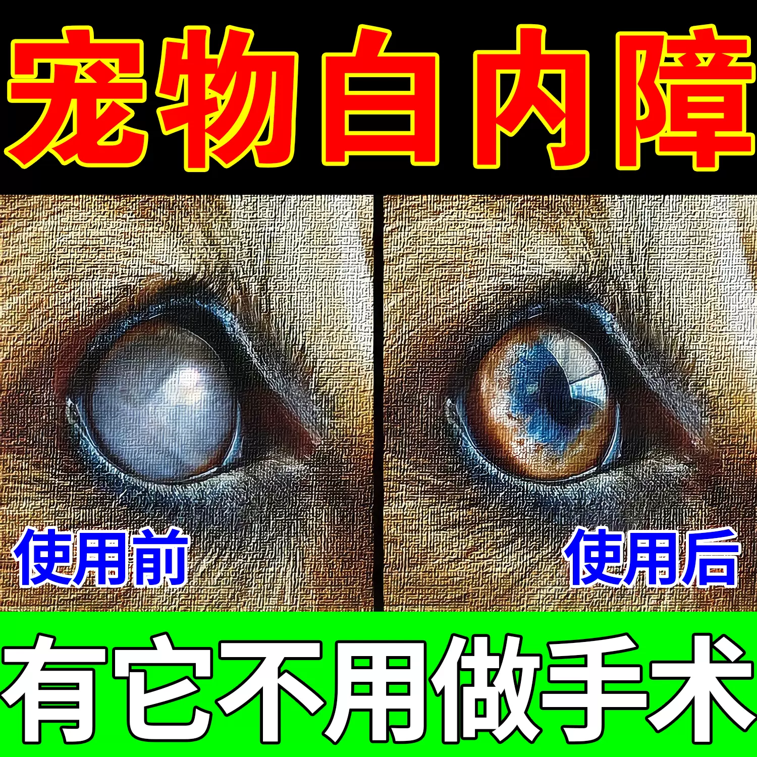 宠物白内障滴眼液狗狗猫咪老年犬抑制初期角膜炎青光眼视力