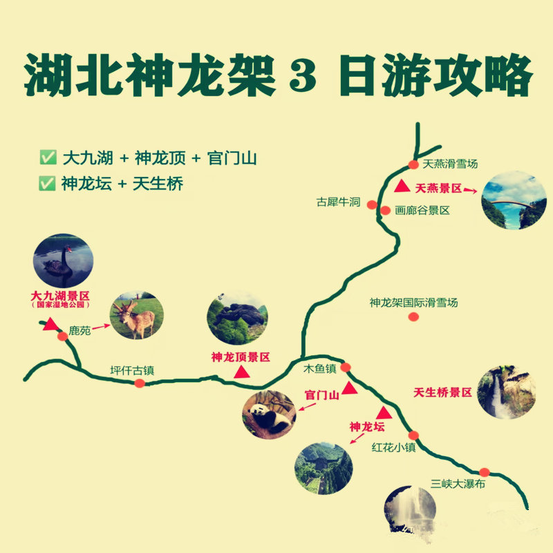 武汉宜昌出发神农架旅游3天2晚神龙架大九湖纯玩含景交可选高动车