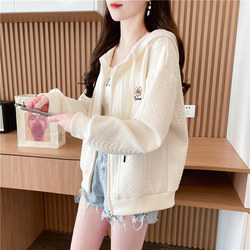 Petite Women's Hooded Jacket, Spring and Autumn 2026 New Korean Style, Loose, Thin, Versatile, High-End Cardigan Sweatshirt