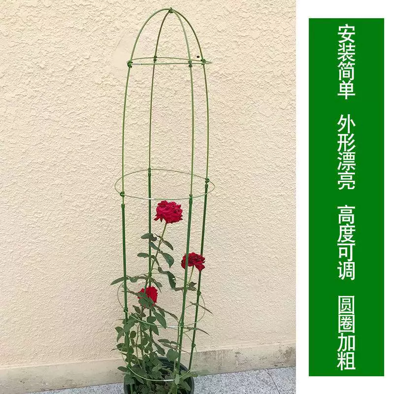 盆栽花架爬藤架植物铁线莲月季固定花支架伸缩玫瑰支架