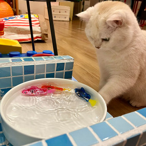
Electronic fish cat toys, self-stimulation, boredom relief, enrichment toys, tabby ragdolls, golden gradient cat sticks, pet supplies