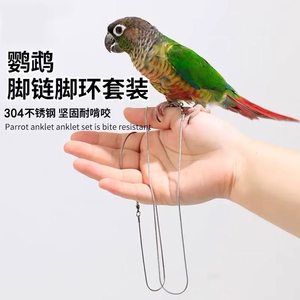 
Parrot anklet little bird stainless steel anklet anklet tiger skin black phoenix little sun out traction rope walking bird