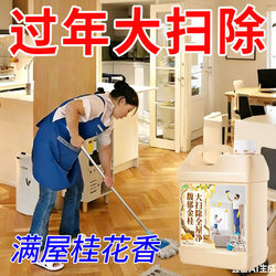 Thorough Cleaning of the Whole House, Powerful Stain Removal, Polishing Without Leaving Water Marks, Long-Lasting Fragrance for Tiles and Bathrooms, Multi-Purpose Cleaner