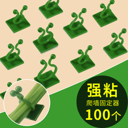 Plant Climbing Tool for Green Plants, Wall Climbing Fixer for Green Plants, Climbing Clips for Roses, Wall Hooks for Climbing Plants Without Leaving Marks