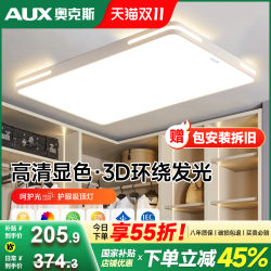 2025 new modern simple atmospheric ceiling lamp