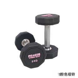 Pure Steel-Coated Dumbbells for Men and Women, Home Fitness, 10-Sided Gym Commercial Dumbbell Set, Professional Training, Non-Slip