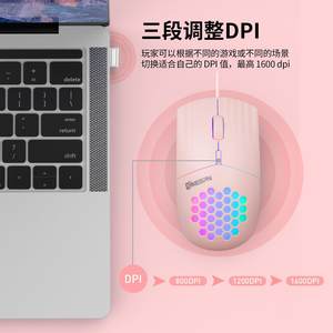 
TYPE-C interface colorful RGB hollow mouse 4D adjustable speed wired one-piece computer accessories optoelectronics