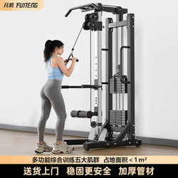 High Pull-Down Single-Side Small Bird's Nest Frame Comprehensive Training Multi-Functional Home Integrated Fitness Equipment Strength Station