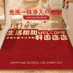 Entrance Door Mat, Door Mat, Entrance Mat, 2025 New Model, Household Pvc, Festive, Wipeable, No-Wash, Foyer Carpet