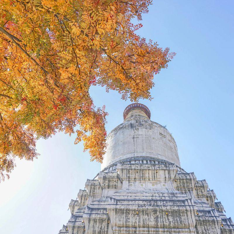 山西五台山一日游 祈福静心之旅/含门票/梵仙山求姻缘/可选含餐