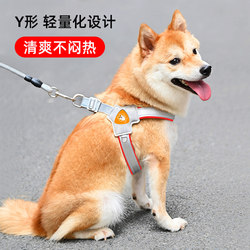 New Dog Leash Harness Vest-Style Pet Walking Leash for Small and Medium-Sized Dogs Like Shiba Inu, French Bulldog, Corgi, with Collar