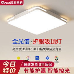 2025 New Model Led Ceiling Light for Room, Bedroom, Living Room, Hall, Modern Simple and Elegant Zhongshan Lighting Fixtures 3