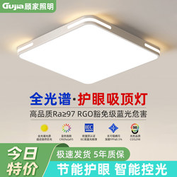 2025 New Model Led Ceiling Light for Room, Bedroom, Living Room, Hall, Modern Simple and Elegant Zhongshan Lighting Fixtures 2