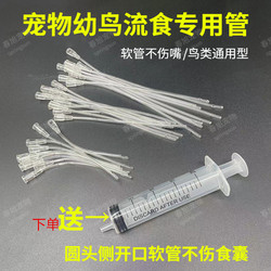 Baby Bird Parrot Feeding Tool Set Cockatiel Budgerigar Syringe Feeder Feeding Spoon