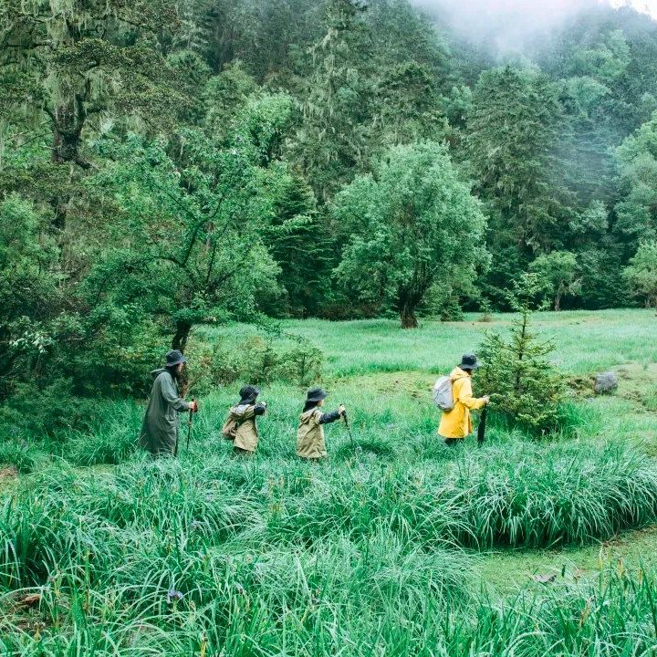 丽江+香格里拉+虎跳峡亲子游6天5晚私家团 金茂凯悦&松赞酒店