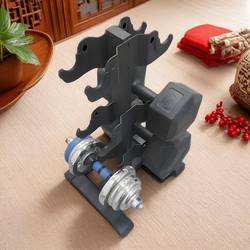 Large Plastic Dumbbell Rack for Dumbbells, Household Dumbbell Storage Rack, Dumbbell Bracket, Dumbbell Storage Fitness Rack