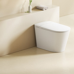 Naa Level 1 Water Efficiency Household Light Smart Toilet Fully Automatic Sensor Flip Cover with Water Tank Foam Shield Toilet K1