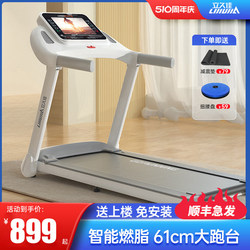 Xinjiang Free Shipping Lijiu Jia E9 Treadmill Home Model Small Silent Foldable Electric Walking Climbing Indoor Fitness Equipment
