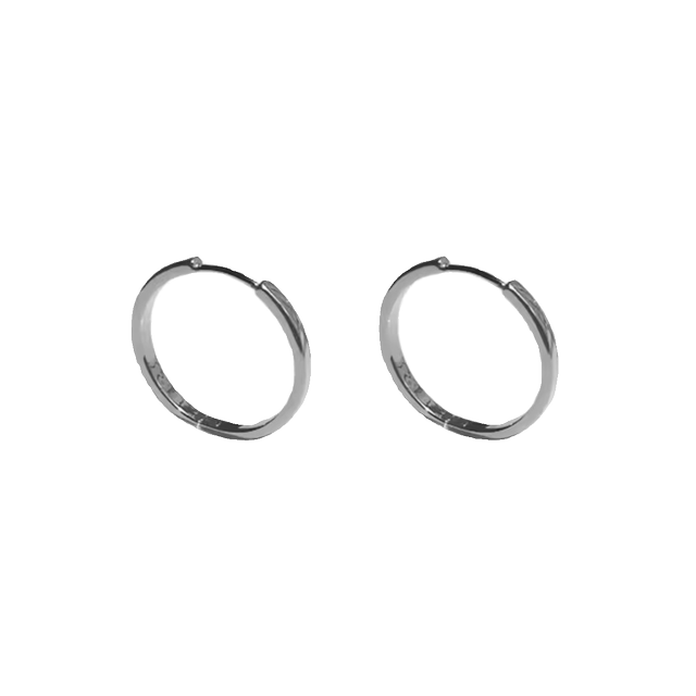 S925 sterling silver earrings for women niche high end large earrings