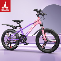 Phoenix Kidsren's Bicycle 6-12-15 Years Old Girls, Teenagers, Middle-Aged and Older Boys, Mountain Variable-Speed Student Bicycles