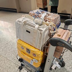 Pet Airline Cat Carrier Soft Bag Cat Bag Large Space Cabin Hna (China Eastern Airlines) Special Portable Cat Bag for Travel