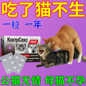 
Cats prevent mating and get pregnant, female cats and bitches post-anxiety depression erotic films, female cats, native dogs, pet breeding effects, long-term affairs avoidance G