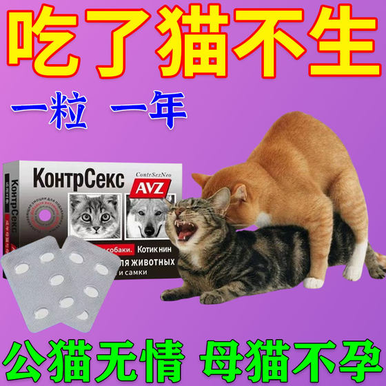 
Cats prevent mating and get pregnant, female cats and bitches post-anxiety depression erotic films, female cats, native dogs, pet breeding effects, long-term affairs avoidance G