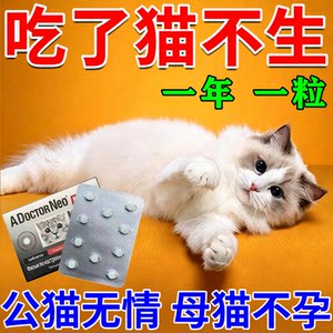 Cats to prevent mating and pregnancy