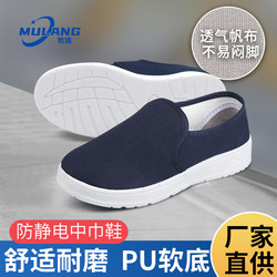 Anti-Static Shoes for Work in Dust-Free Workshops, Specialized for Electronic Factories, Comfortable Soft-Soled, Thickened Blue and White Canvas for Men and Women