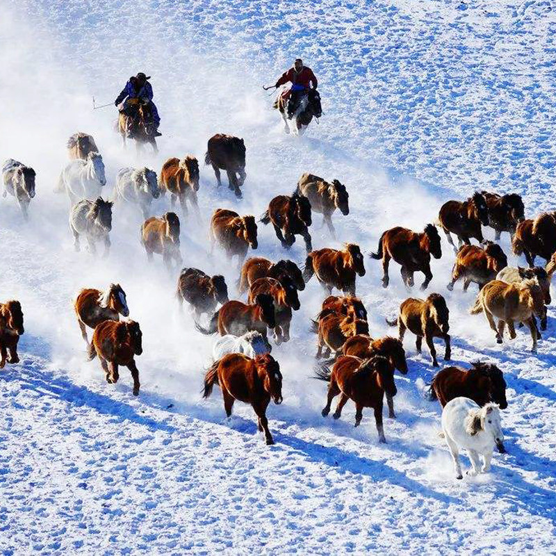 【住4钻/5钻】古北水镇+坝上+乌兰布统+木兰围场4日3晚私家团