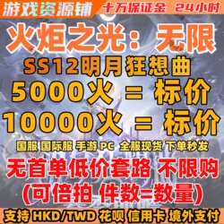 Torchlight Infinite Fire Source Material China Server International Server Handmade in Stock