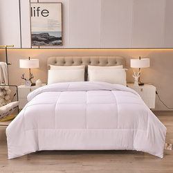 Hotel-Specific Quilt Core, Suitable for Guesthouses and Rooms, All-Season Use, Spring and Autumn Quilt, White Thickened Feather Velvet Air-Conditioning Quilt