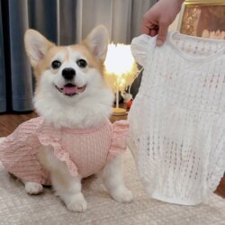 Corgi Shiba Inu Dog Clothes Golden Retriever Labrador Summer Breathable Thin Skirt Small, Medium and Large Dog Princess Dress