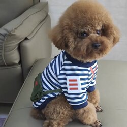 Teddy Dog Clothes, Autumn and Winter Clothing, Fleece Sweatshirt with Leash Ring, Small Size Dogs, Bichon Frize, Pomeranian, Cat Funny Clothing