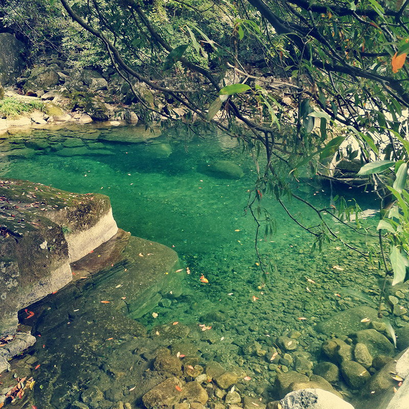 【住5星】江西旅游庐山三清山婺源婺女洲望仙谷4天3晚四日跟团游