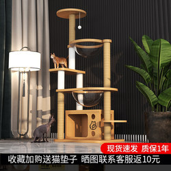 Cat Climbing Frame, Cat House, Space Capsule, Cat Tree, Integrated Cat Scratching Board, Scratching Post, Multi-Cat, Solid Wood, Space-Saving, Small Cat Entertainment Stand