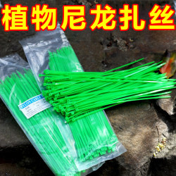 Tying Wire Nylon Cable Ties Self-Locking Cable Ties Plastic Binding Straps Fixed Tie Ropes Tensioner Gardening Binding Line