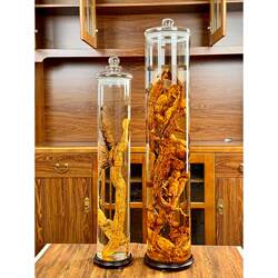 Straight high borosilicate glass special wine bottle with faucet ginseng cow vigorous deer whip high-end sealed storage tank