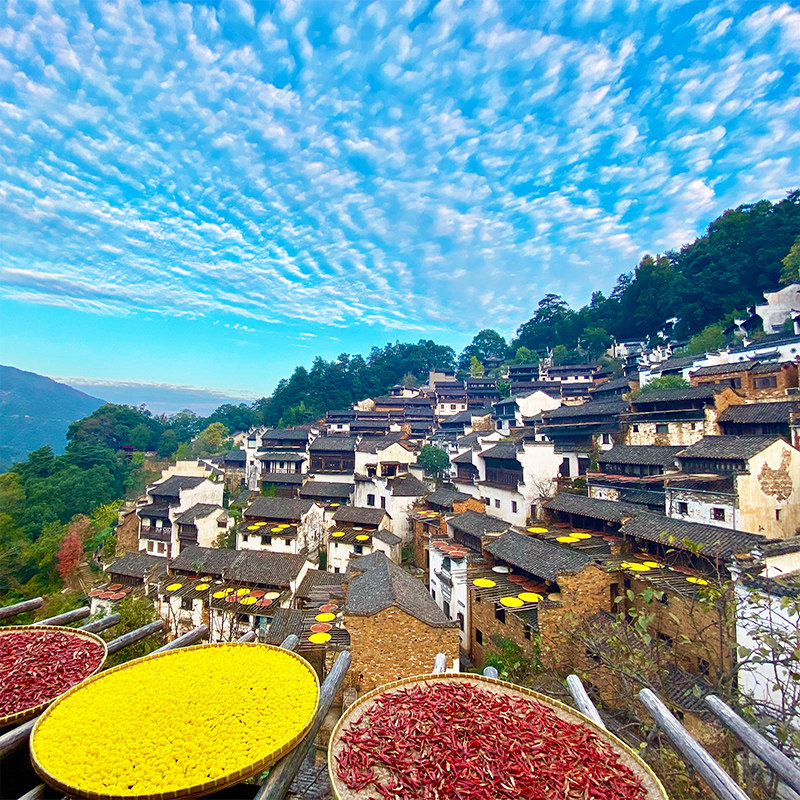 黄山宏村3日游旅游云海水墨宏村屯溪双古老街2晚三日跟团游