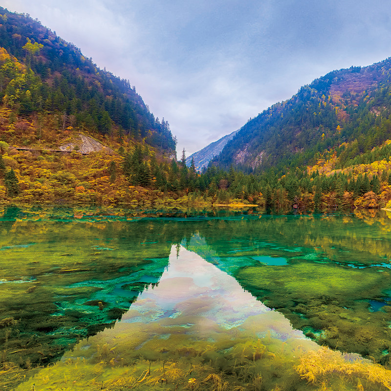 2-8人小团四姑娘山毕棚沟达古冰川九寨沟黄龙5天4晚川西跟团游