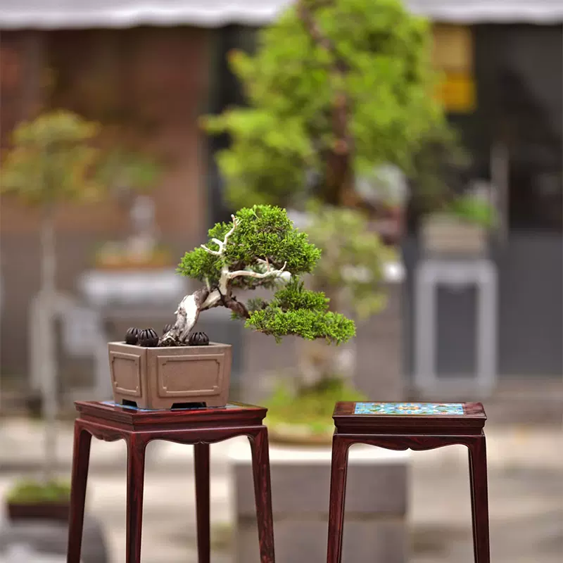 印度小叶紫檀景泰蓝香几大漆彩绘设计花架边几花台茶室装饰品-Taobao