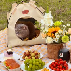 [My Camping Companion] Cat Tent Outdoor Cat Carrier Convenient Breathable Foldable Anti-Stress Suitable for Cats and Dogs