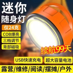 New Strong Light Portable Mini Work Light Keychain Small Flashlight Multifunctional Magnetic Portable Light Rechargeable Light for Home