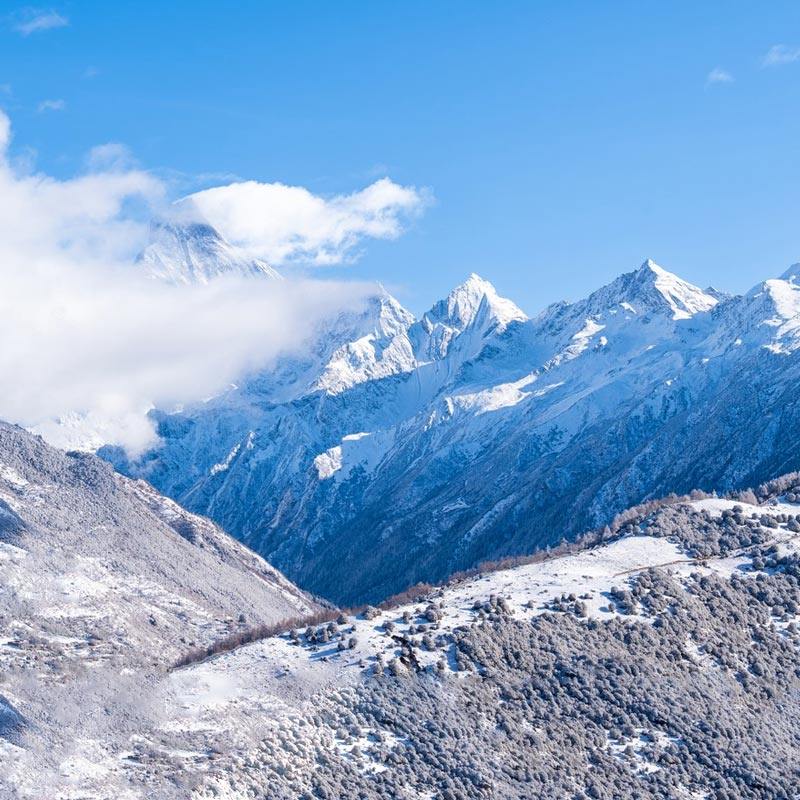 四姑娘山一日团 2-8人精品小团双桥沟一日游纯玩跟团游可选私家团