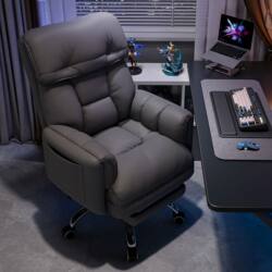 Computer Chair for Home Use, Gaming Chair for Boys, E-Sports Chair, Lazy Computer Sofa Chair, Bedroom Reclining Leisure Chair with Backrest