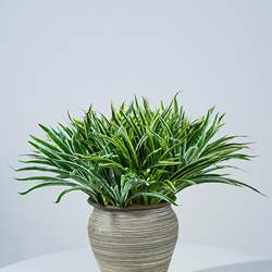 Phnom Penh Chlorophytum artificial flower artificial green plant white edge Chlorophytum leaf Chlorophytum grass fake flower artificial plant landscaping potted plant