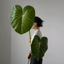 Large Artificial Monstera Leaves in a Melard Color Scheme, Realistic High-End Luxury Greenery for Landscaping