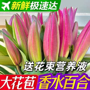
Flowers Yunnan base straight hair double perfume lily real flower hydroponic home office gift bouquet mix and match
