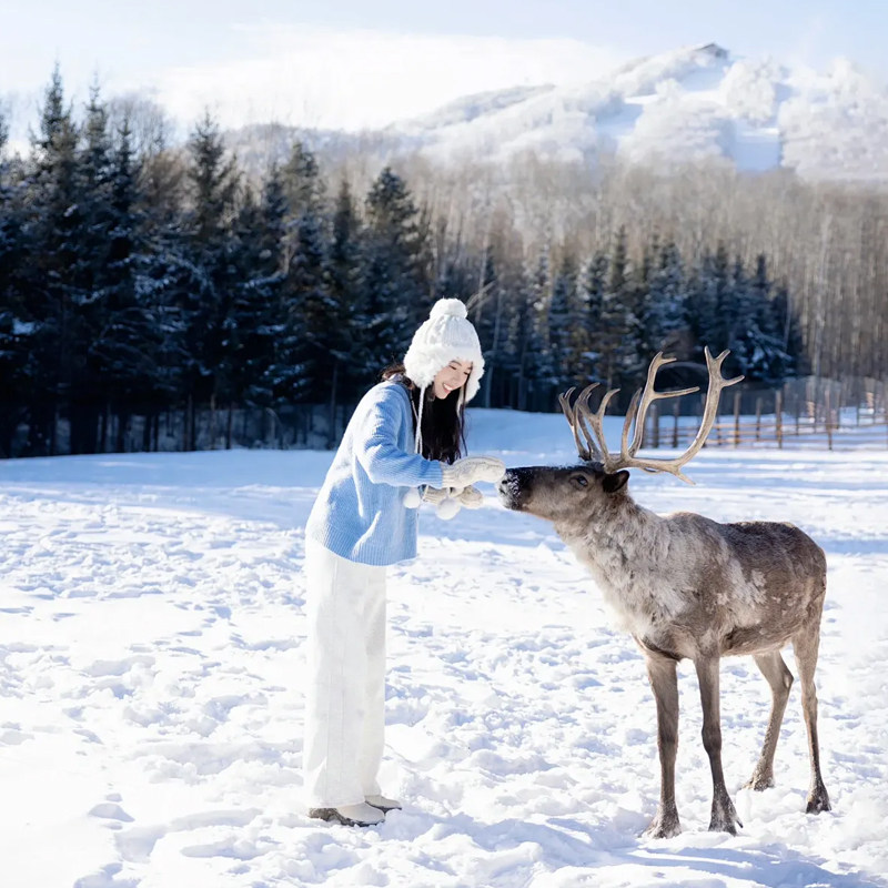 飞猪冬游滑雪小团漠河驯鹿北极村雪乡哈尔滨东北旅游7天6晚跟团游
