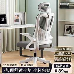 Specialized Chairs for High School Students, Study Chairs, Ergonomic Chairs, Office Chairs, Dormitory Computer Chairs, Gaming Chairs